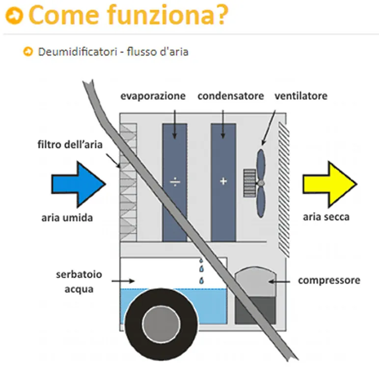 Deumidificatore Master DH 26 professionale alta efficienza a condensazione portata aria 350 m³/h