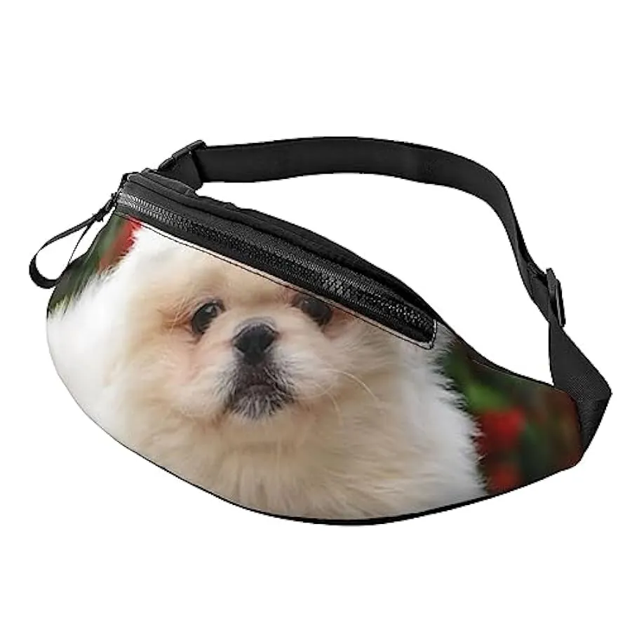 Marsupio giallo Pomerania Marsupio Marsupio per esterni Cane Walking Running Escursionismo Campeggio, Raffreddare Leone, Taglia 