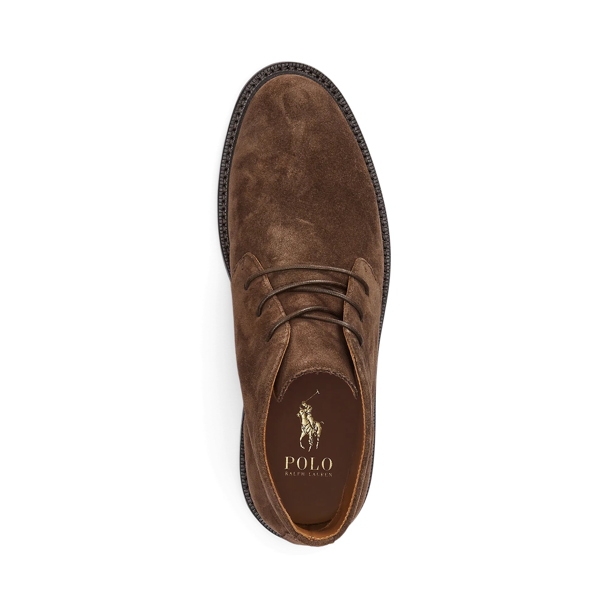  POLO RALPH LAUREN   ASHER CHUKKA - Stivaletti in pelle scamosciata | Marrone